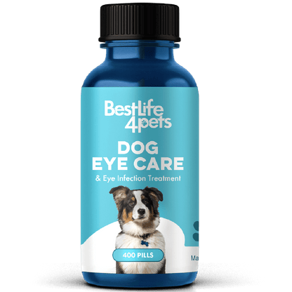 Natural Dog Eye Infection Treatment  - Helps Conjunctivitis, Watery Eyes, Red Eye, and General Eye Care by BestLife4Pets