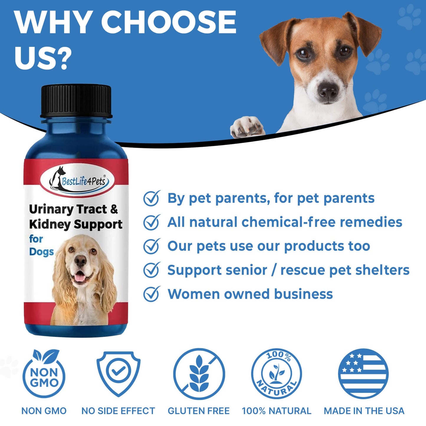 Dog UTI & Kidney Infection Treatment for Dogs by BestLife4Pets