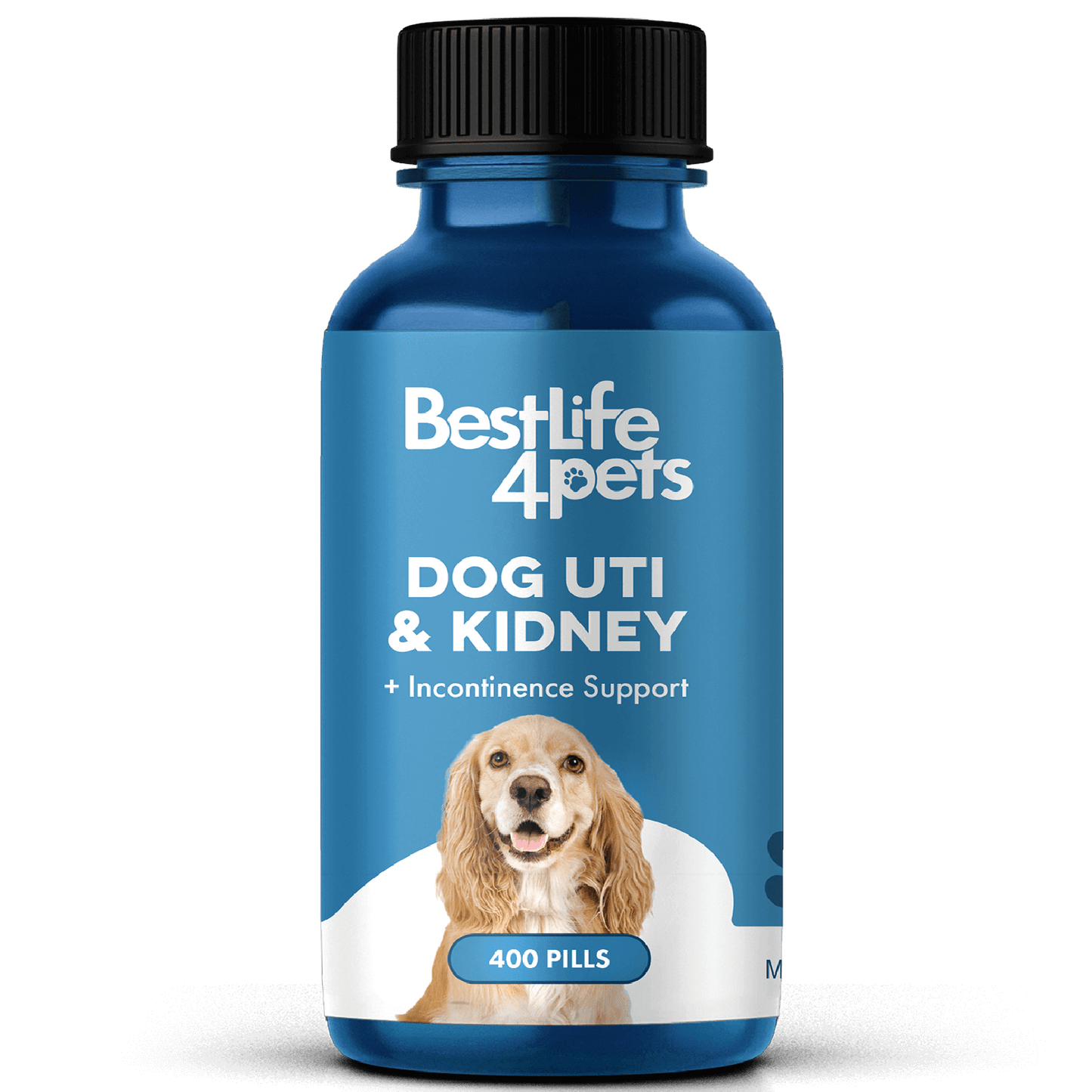 Dog UTI & Kidney Infection Treatment for Dogs by BestLife4Pets