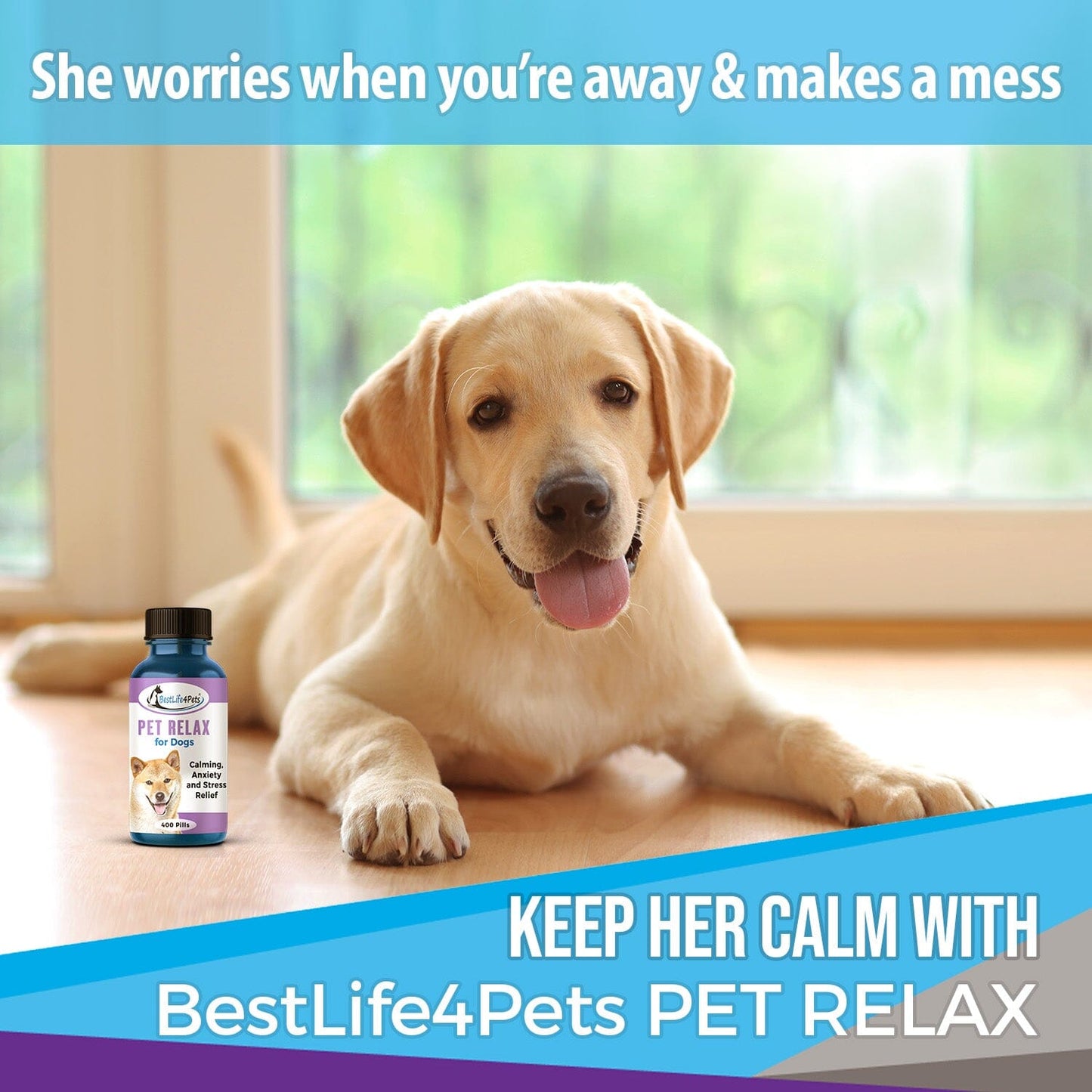 Pet Relax Dog Anxiety and Calming Relief Formula by BestLife4Pets