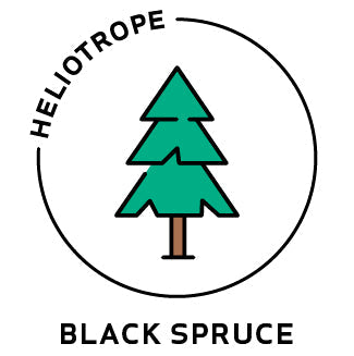 Essential Oil - Black Spruce by Heliotrope San Francisco