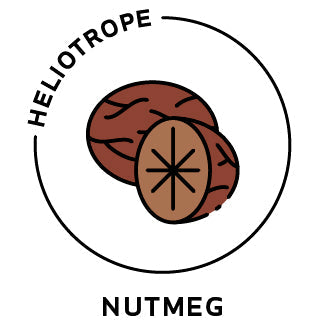 Essential Oil - Nutmeg by Heliotrope San Francisco