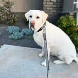 Seawoof Multi-Function Adjustable Leash