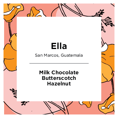 Ella | Guatemala | Washed