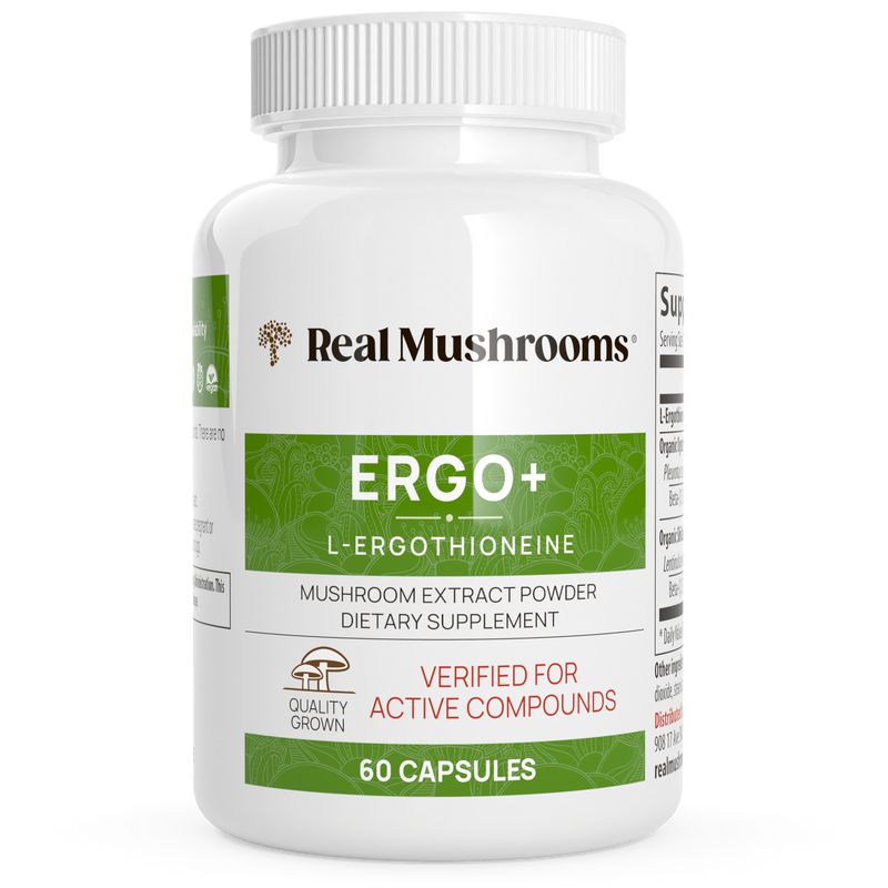 Ergo+ Ergothioneine Supplement by Real Mushrooms