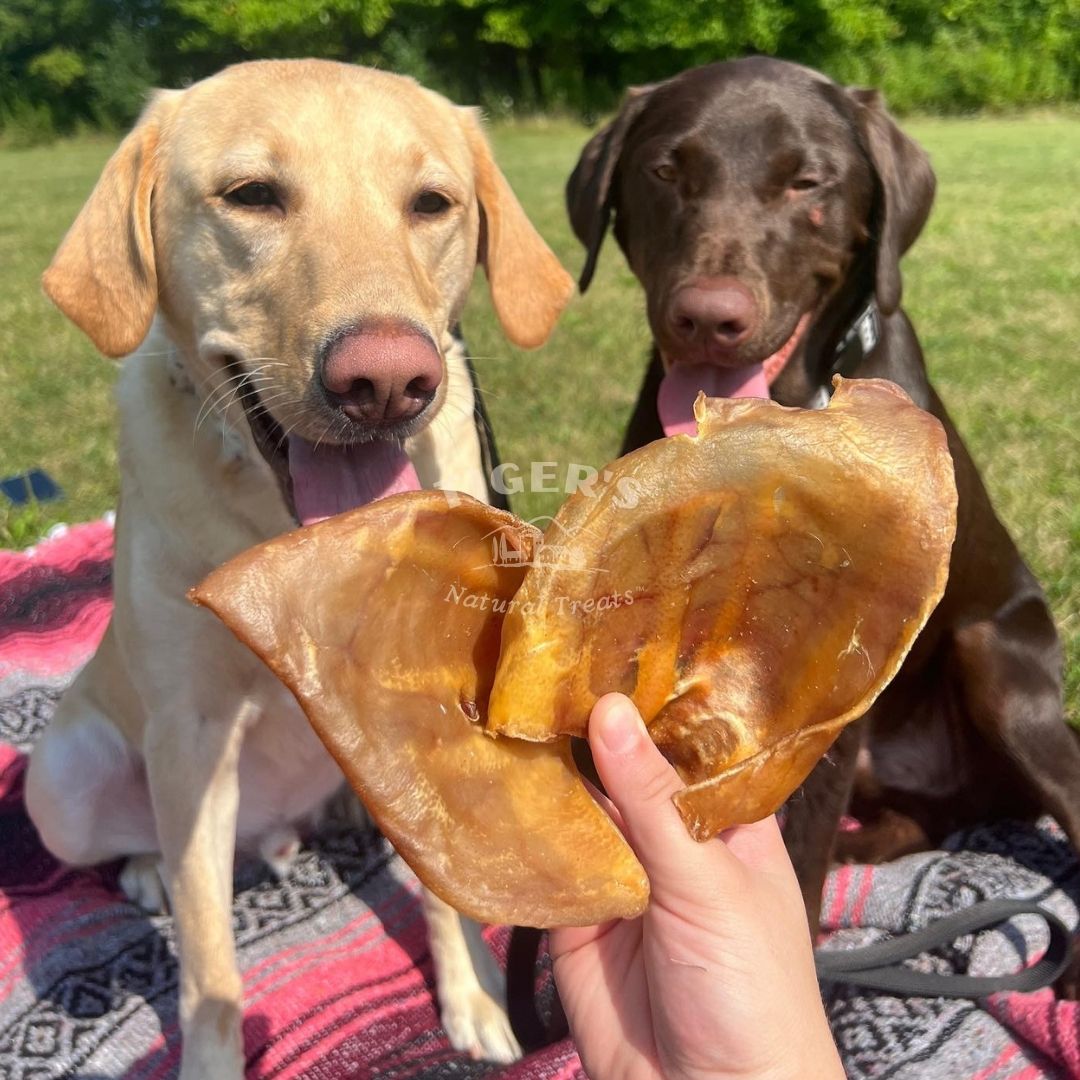 Jumbo Pig Ears Dog Treats