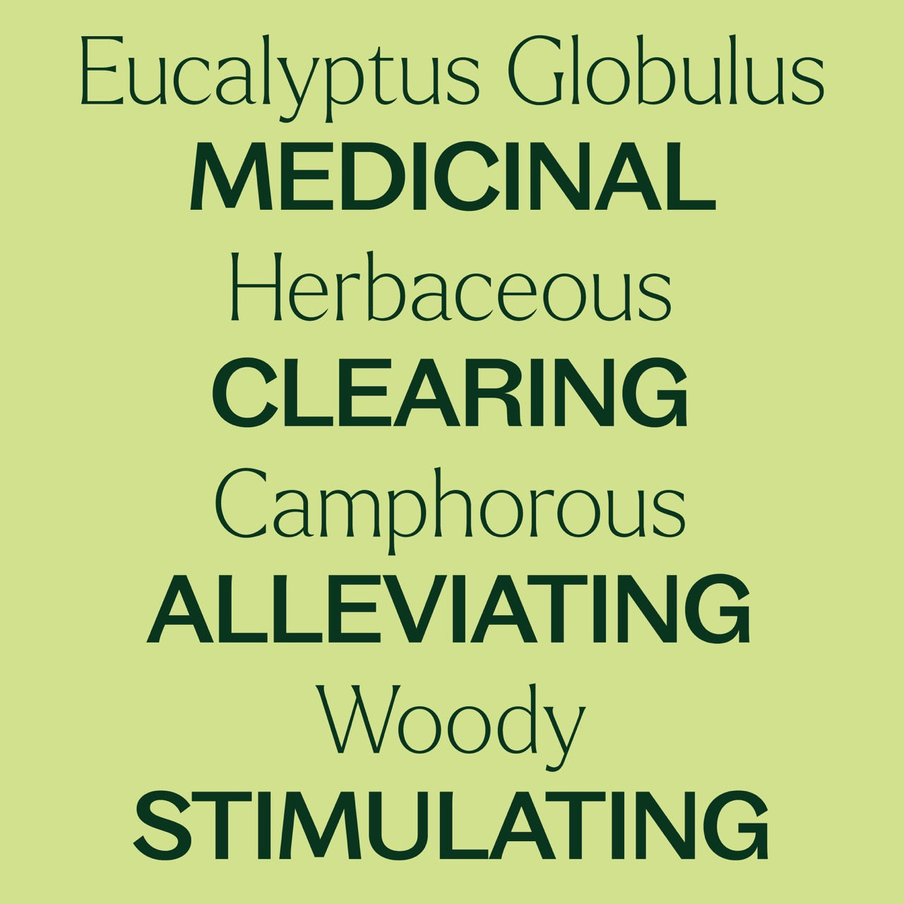 Eucalyptus Globulus Essential Oil