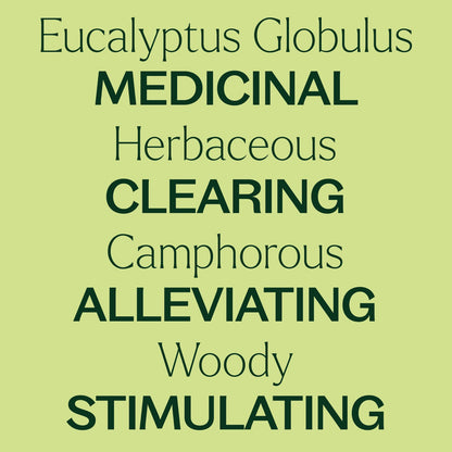 Eucalyptus Globulus Essential Oil