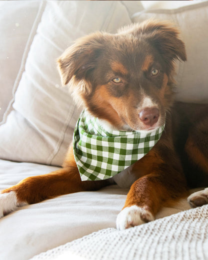 GINGHAM BANDANA by MODERNBEAST