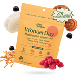 WonderDay Mushroom Gummies