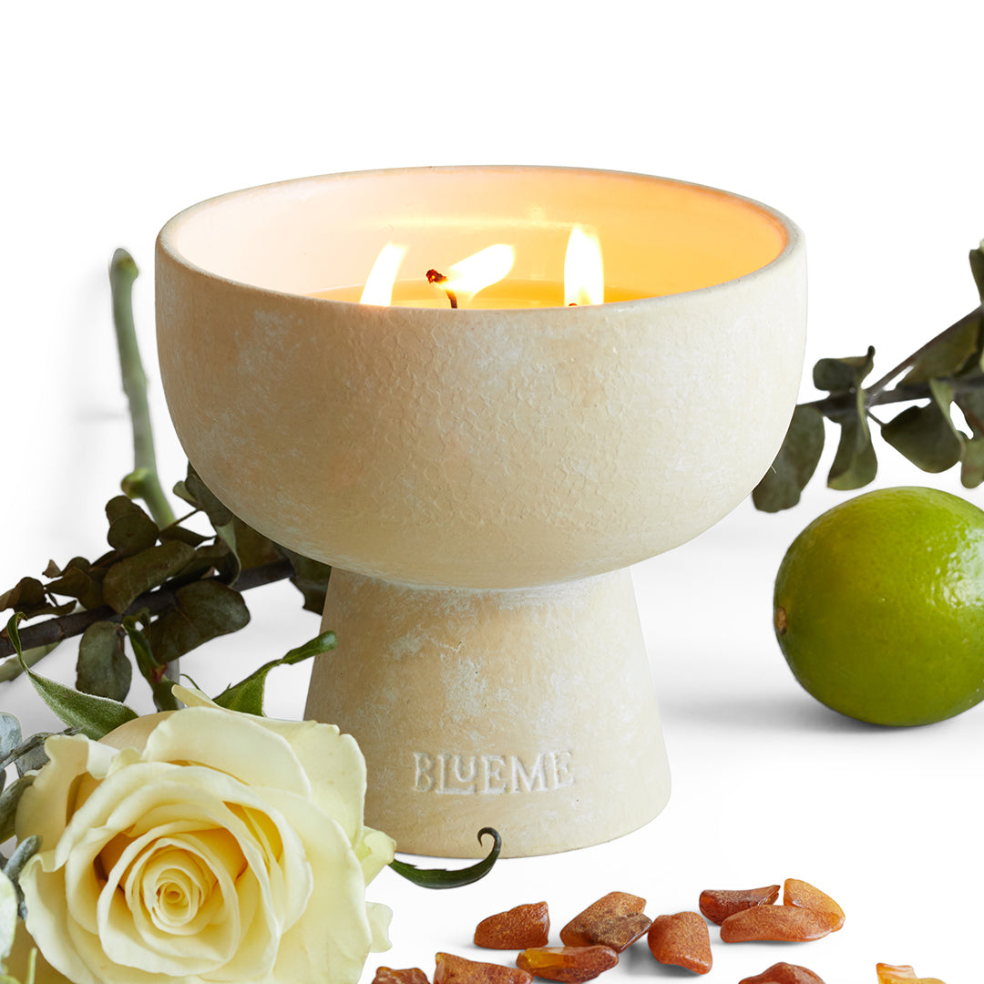 Focus - Ceramic Refillable Candle - Eucalyptus & Lime