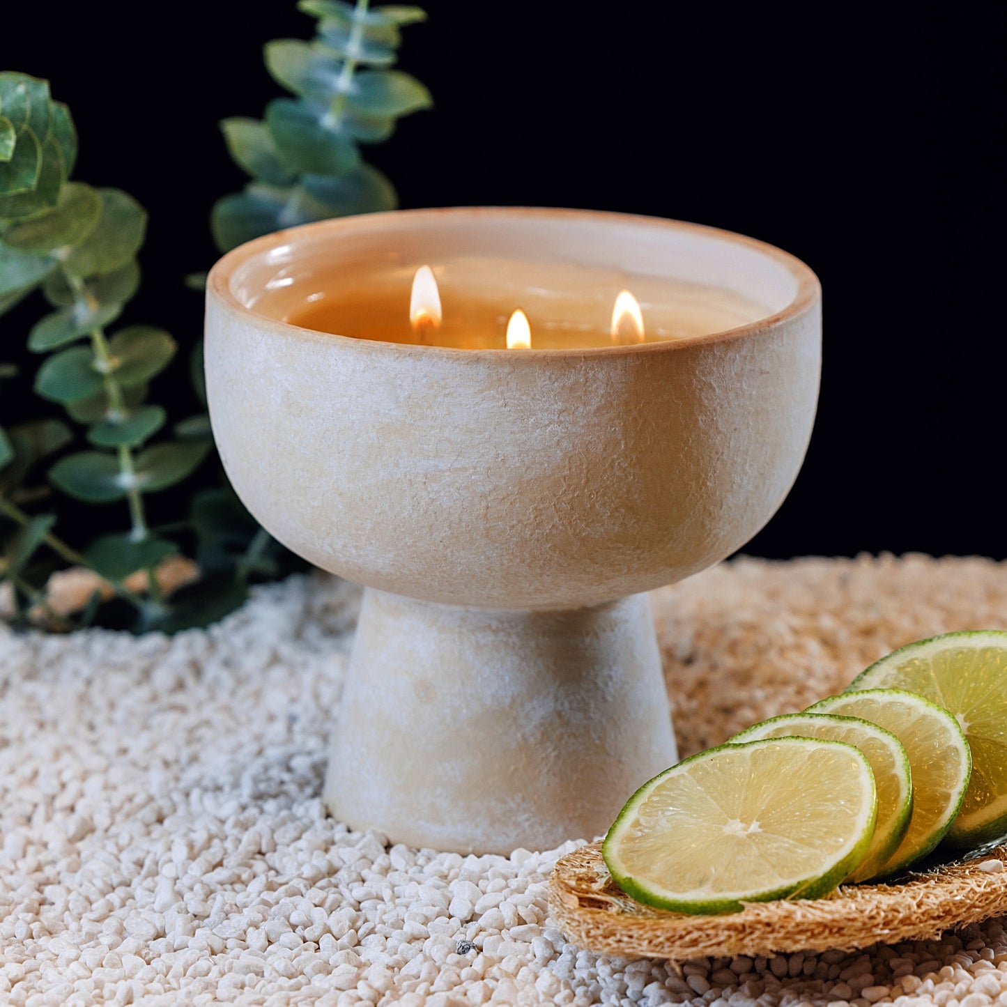 Focus - Ceramic Refillable Candle - Eucalyptus & Lime