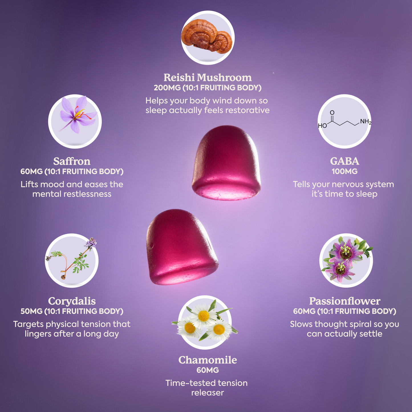 WonderSleep Mushroom Gummies