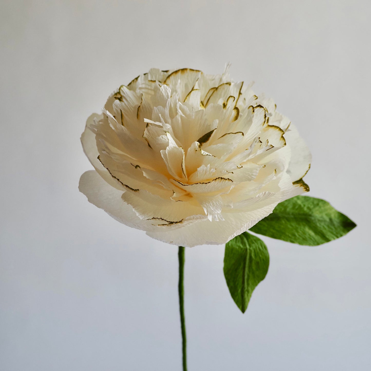 Hand Painted Garden Peony Single Bloom, Limited Edition