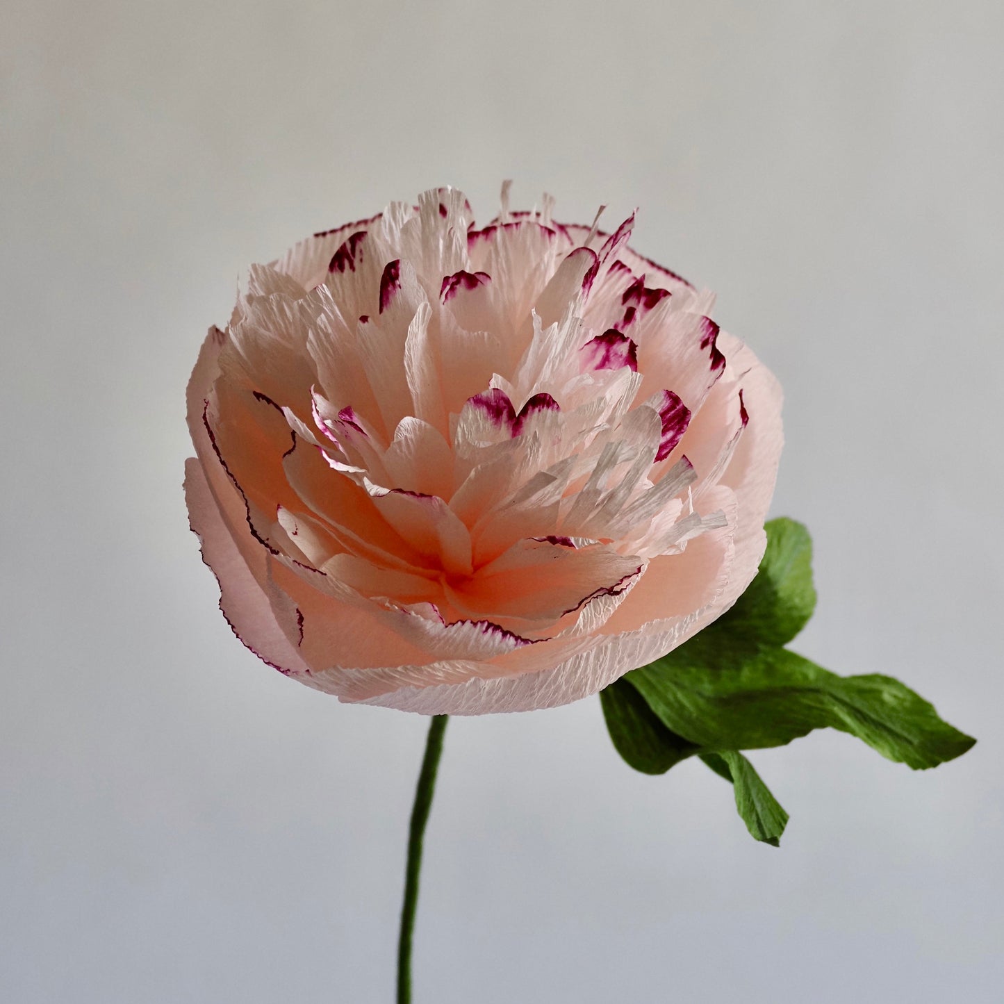 Hand Painted Garden Peony Single Bloom, Limited Edition