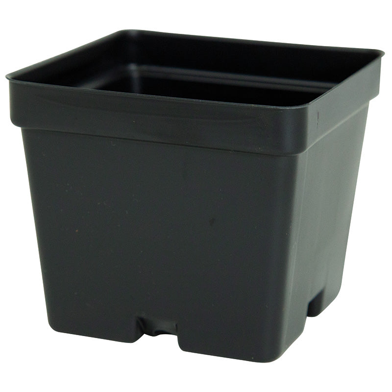 Square Plastic Pots - 4"