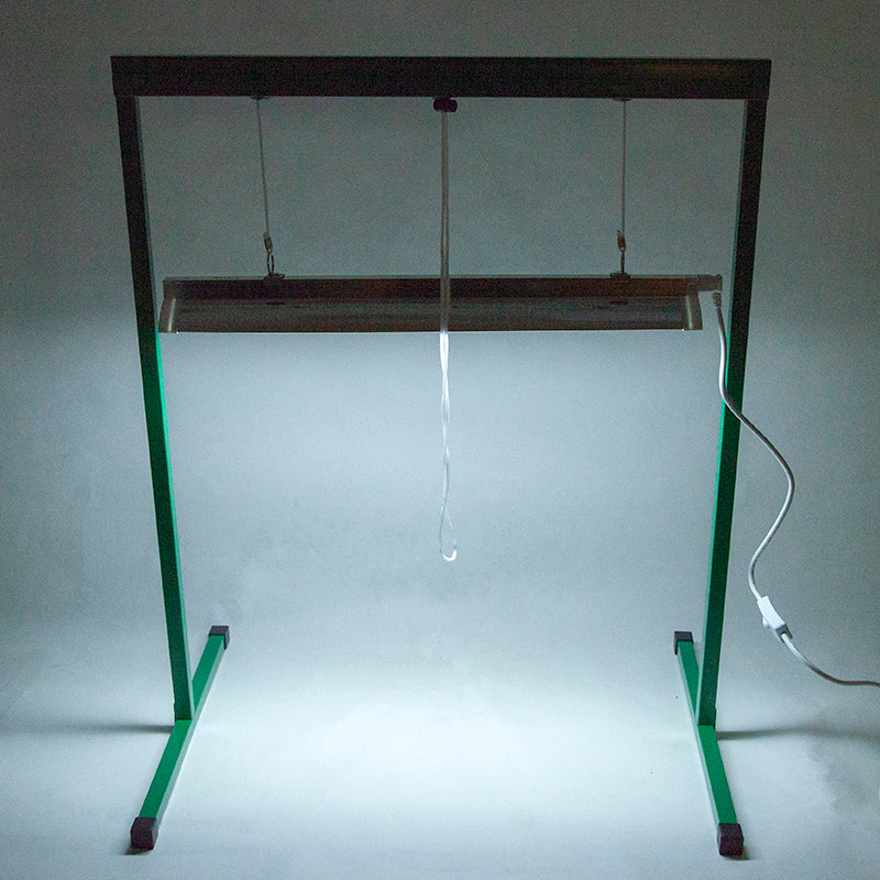 2-Foot Light System with One Lamp