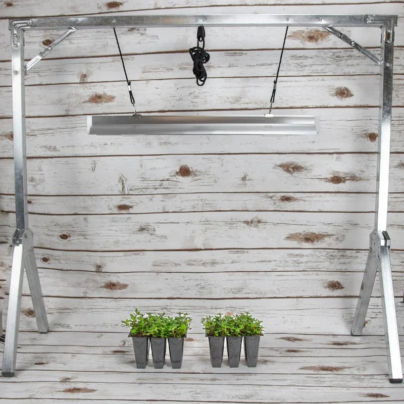 2-Foot Light System with One Lamp