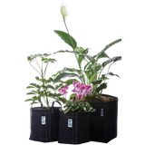 GeoPot Fabric Pot Garden Kit by Geopot