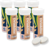 Ginger Lime Best Electrolyte Sports Drink Tablets (6) Tube Bundle