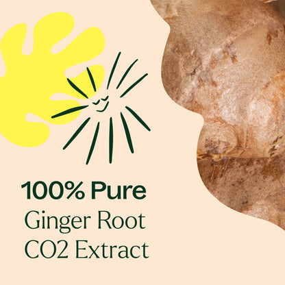 Ginger Root CO2 Extract