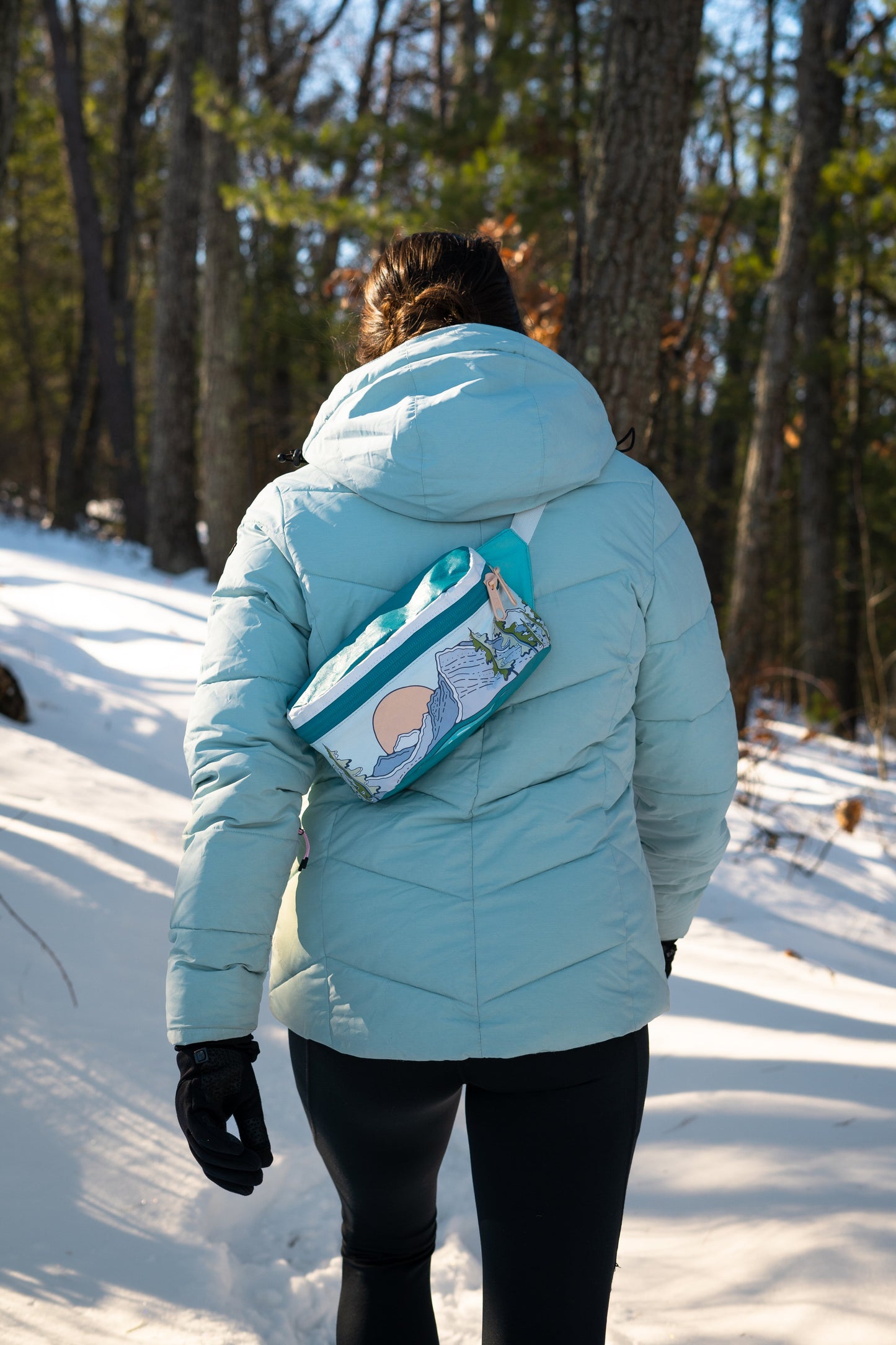 Glacier National Park Hip Pack