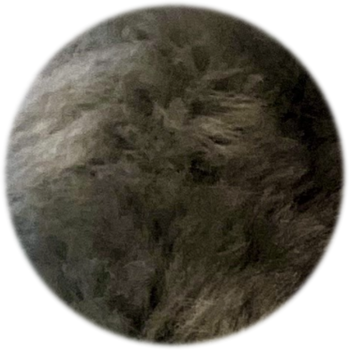 Shearling Fur Grip (Standalone)