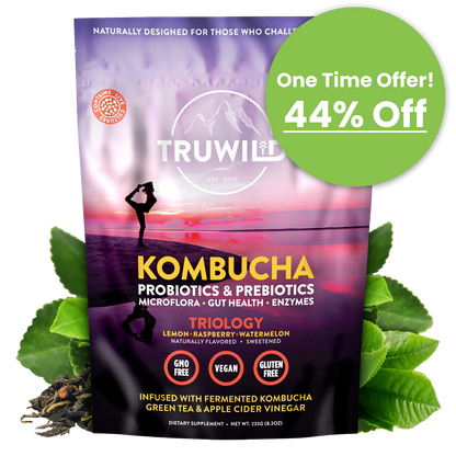 Kombucha Powder