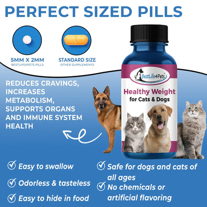 Natural Weight Loss & Thyroid Support Supplement for Dogs & Cats by BestLife4Pets