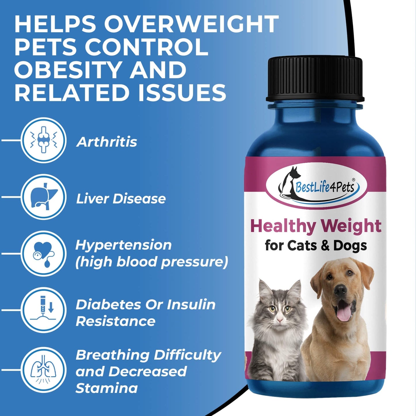 Natural Weight Loss & Thyroid Support Supplement for Dogs & Cats by BestLife4Pets