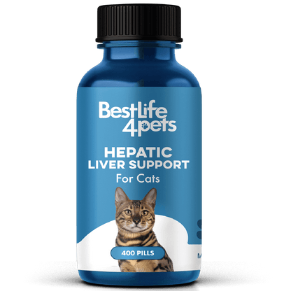 Natural Hepatic Liver Support for Cats by BestLife4Pets