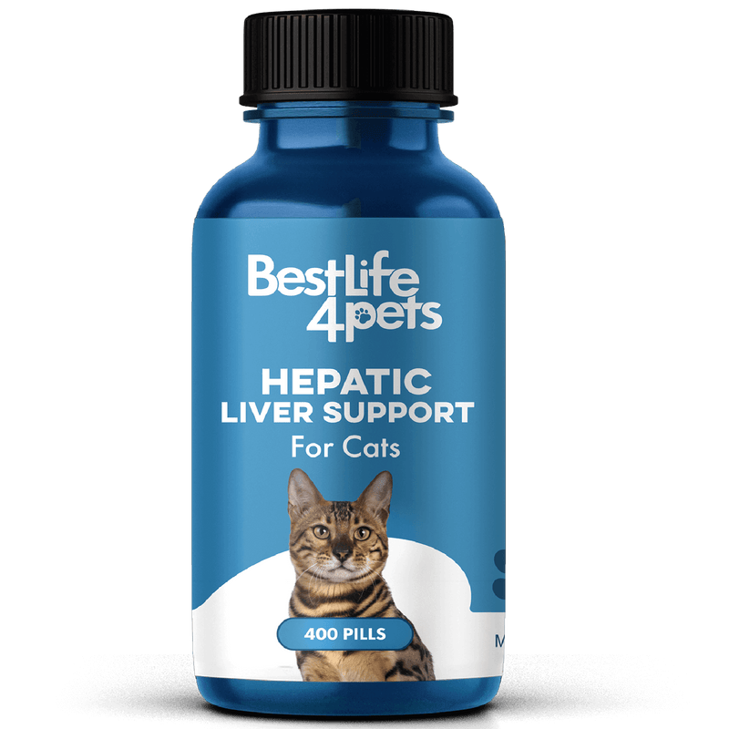 Natural Hepatic Liver Support for Cats by BestLife4Pets