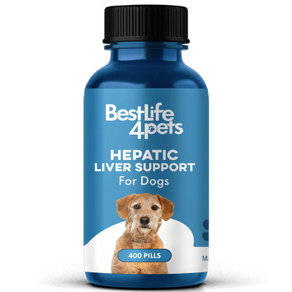 Natural Hepatic Dog Liver Support Tablets by BestLife4Pets