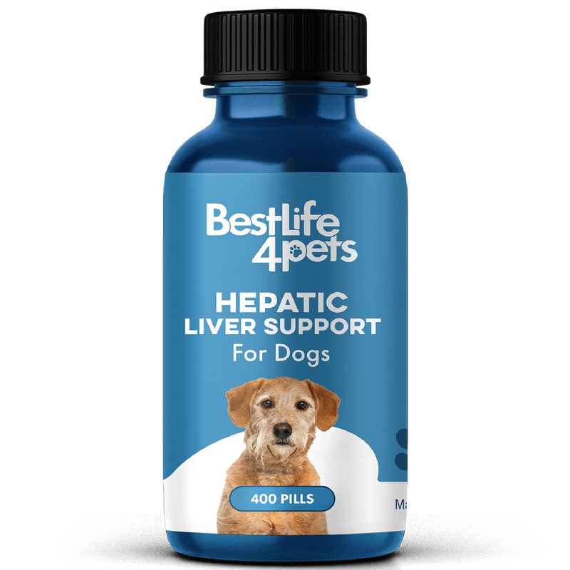 Natural Hepatic Dog Liver Support Tablets by BestLife4Pets