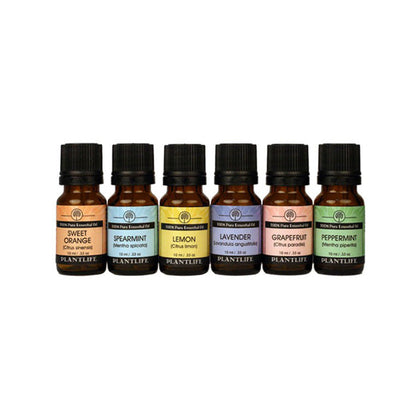 Home Aromatherapy Set