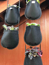 GeoPot Fabric Pot Hanging Garden by Geopot