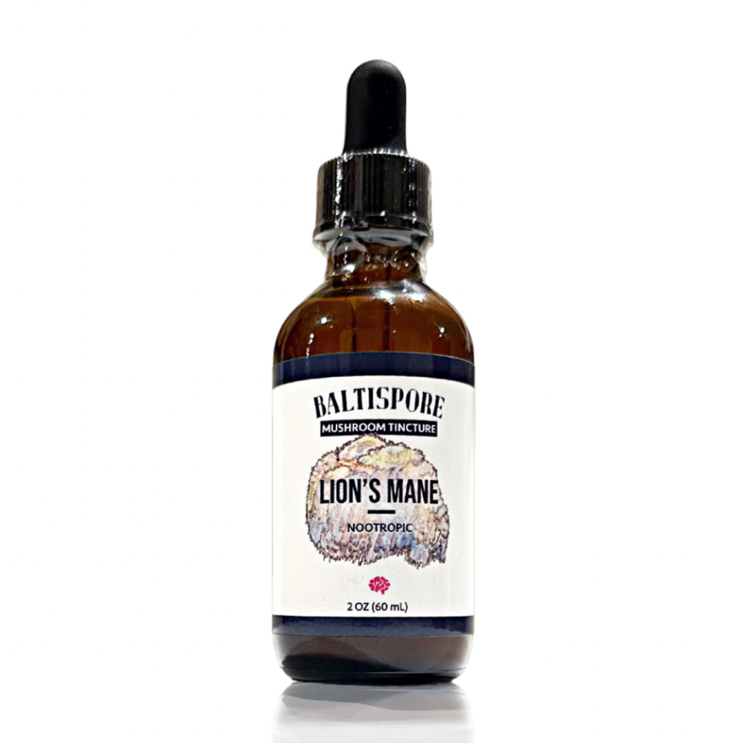 Lion’s Mane Mushroom Tincture