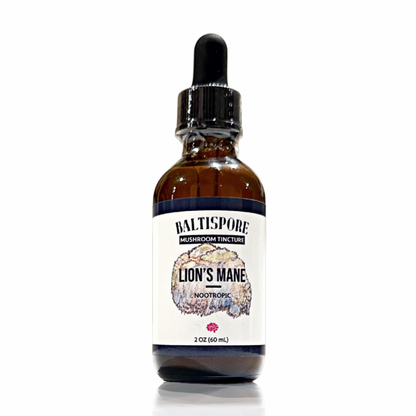 Lion’s Mane Mushroom Tincture