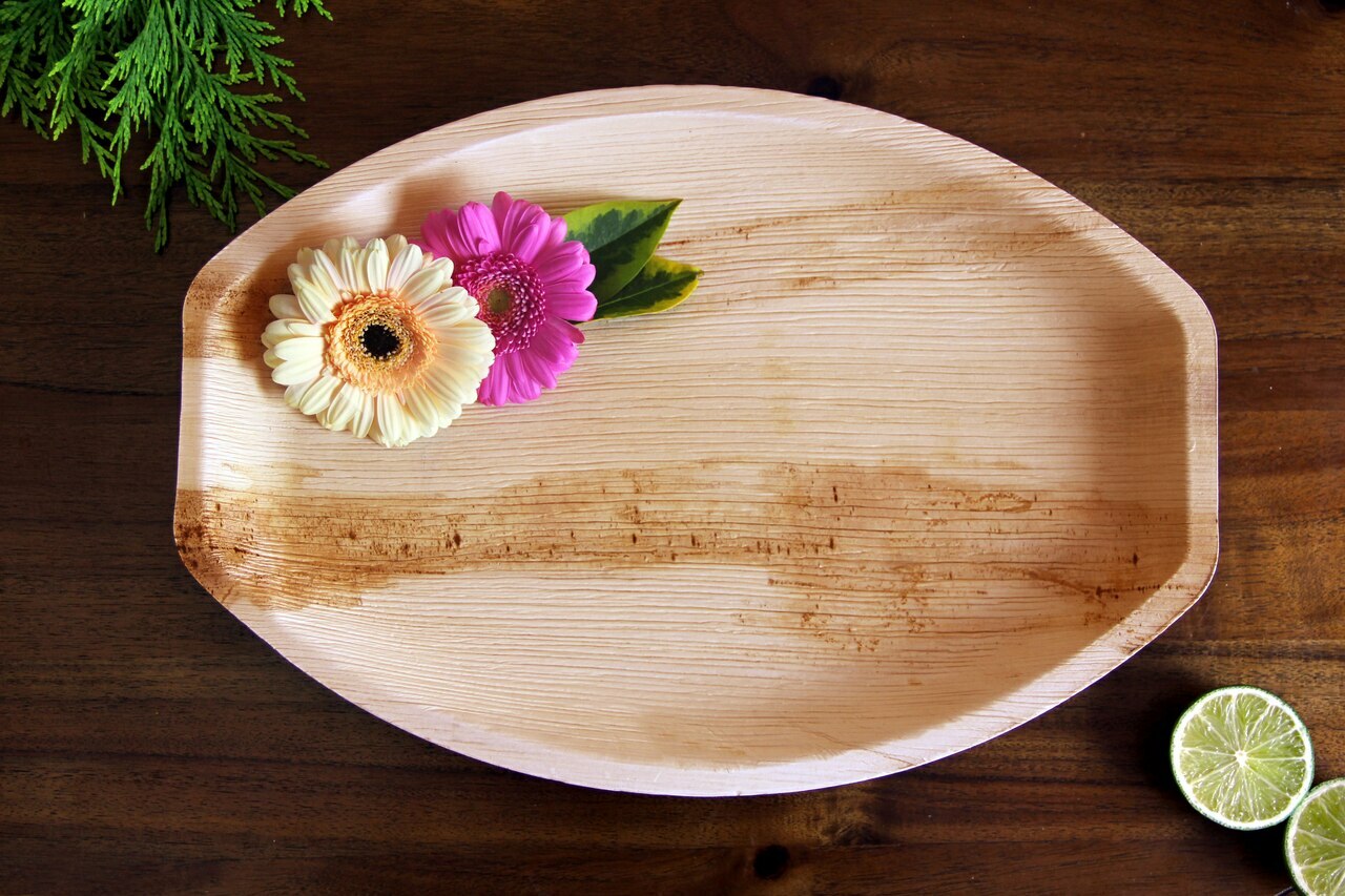 Disposable Dinner Plates, 15" Oval Palm Leaf Plates for Charcuterie, 25 PACK by ecozoi