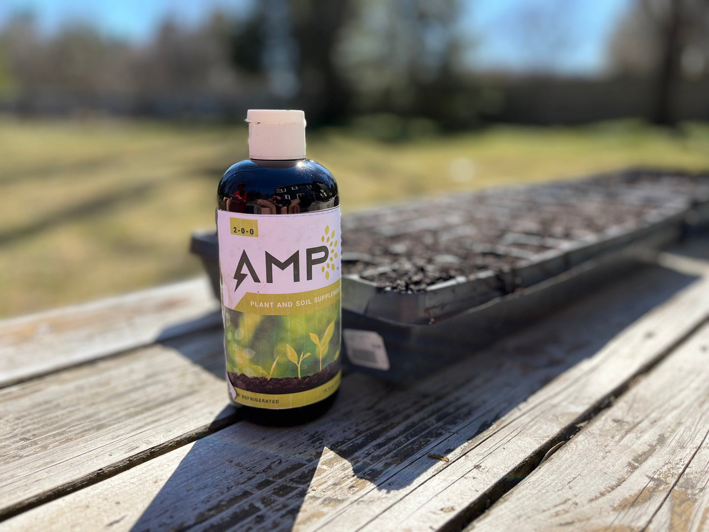 AMP Organic Biostimulant 8oz Bottle - harness the power of Algae.