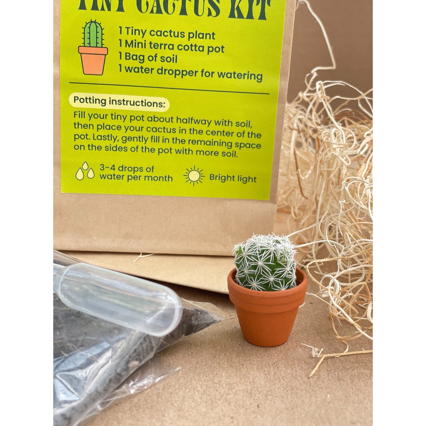 Tiny Cactus Kit