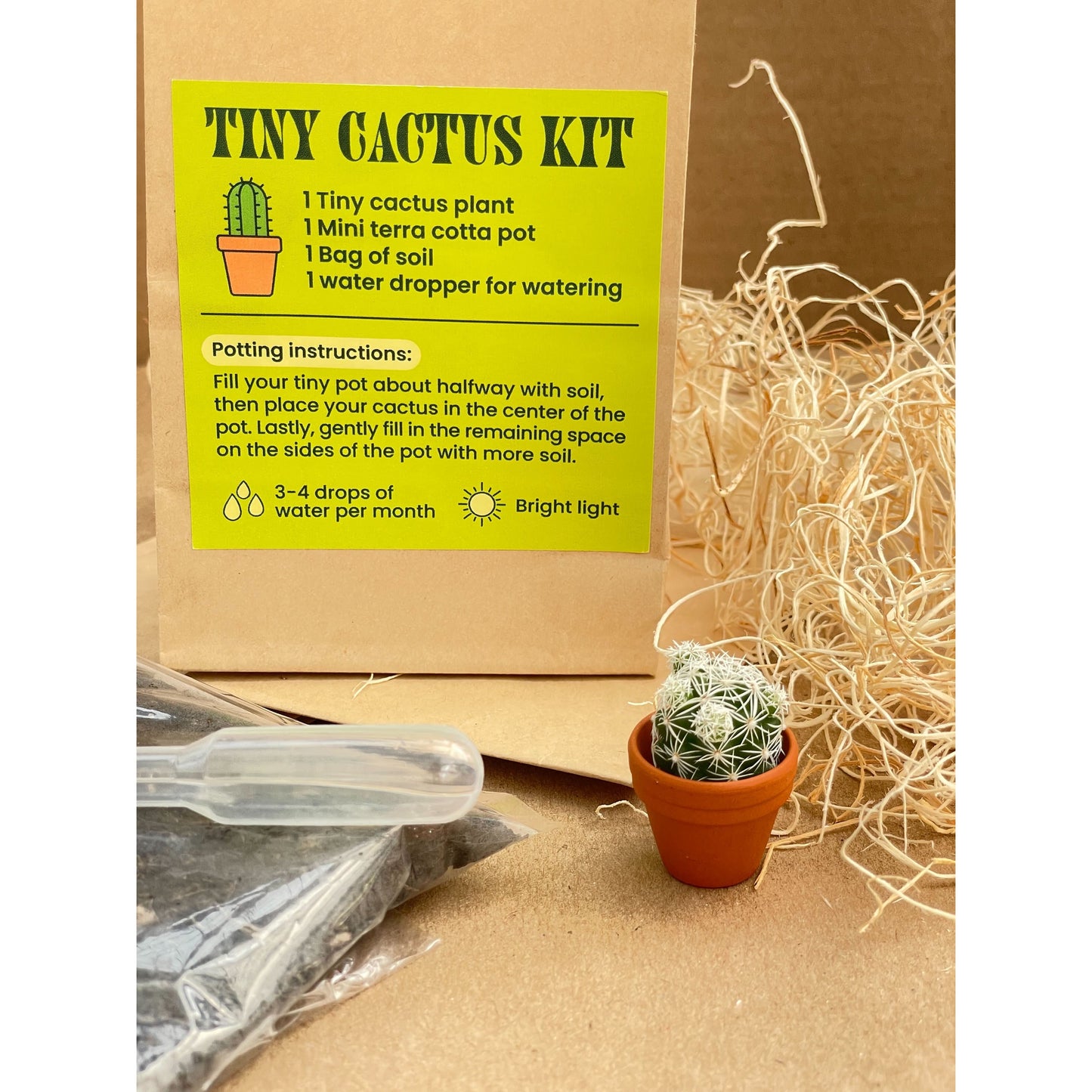 Tiny Cactus Kit