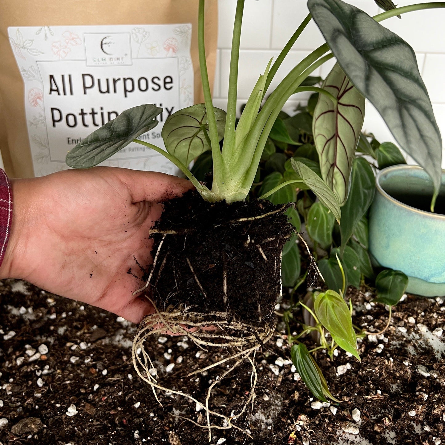 All-Purpose Soil Mix by Elm Dirt