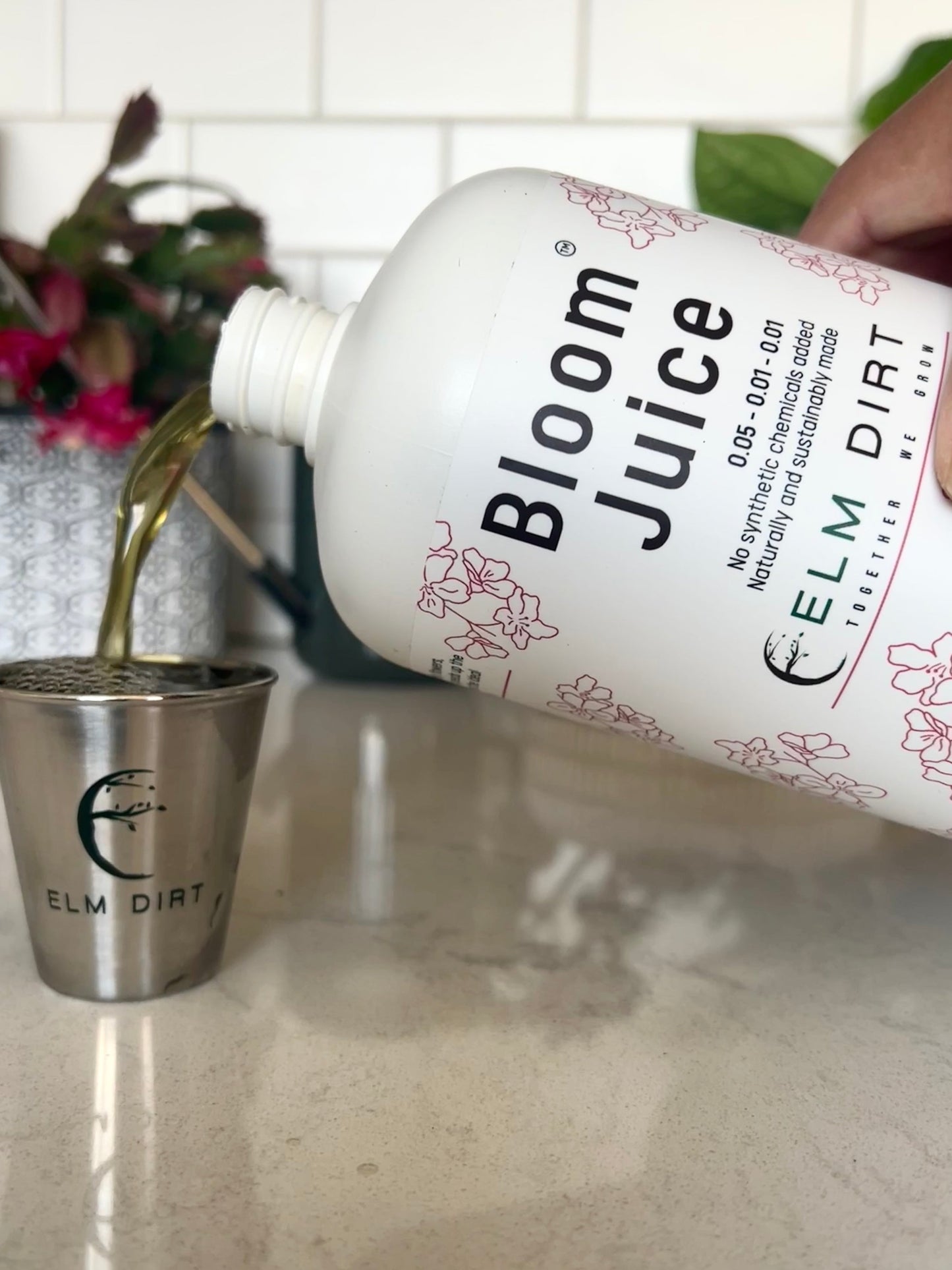 Plant Care Kit by Elm Dirt