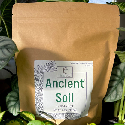 Ancient Soil by Elm Dirt