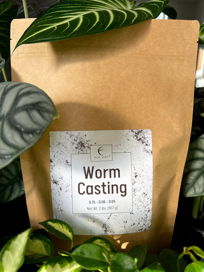 Worm Casting by Elm Dirt