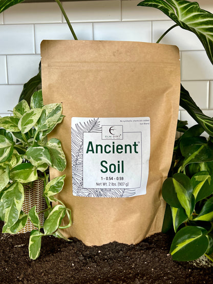 Ancient Soil by Elm Dirt