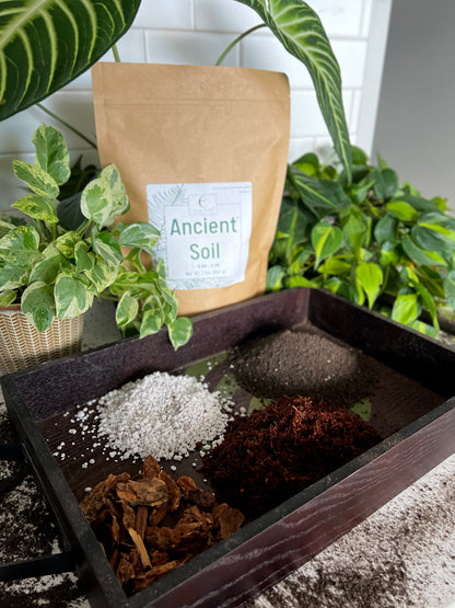 Ancient Soil by Elm Dirt