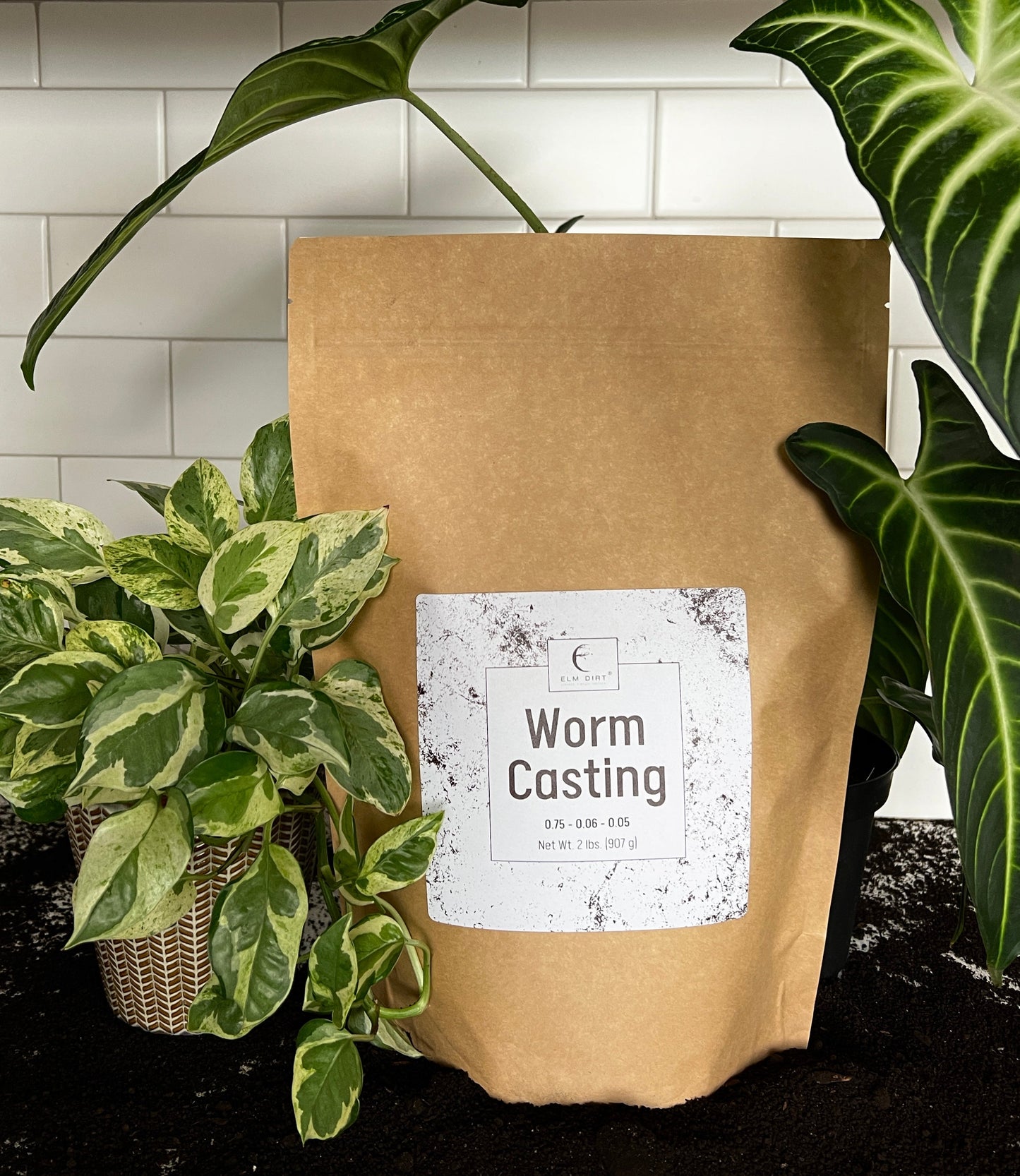 Worm Casting by Elm Dirt