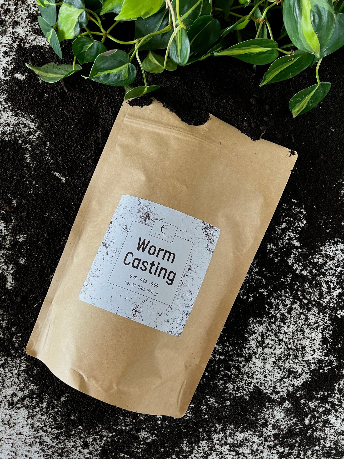 Worm Casting by Elm Dirt